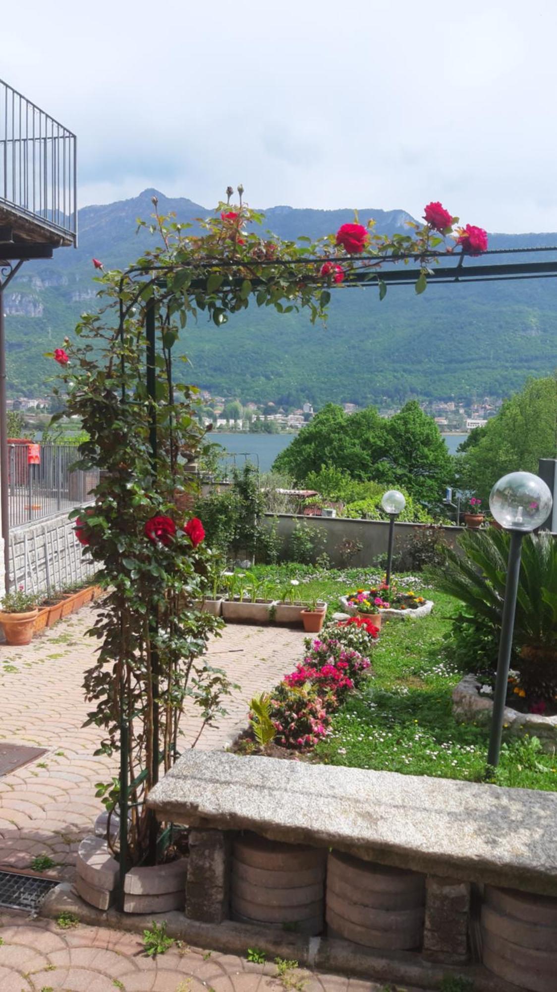 Le Rose Sul Lago Pescate Luaran gambar
